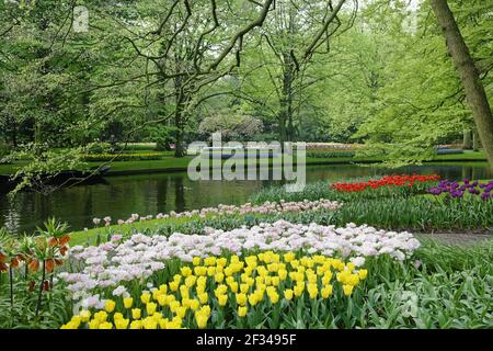 Keukenhof Gärten in SpringTulip Betten und andere Frühlingsblumen Niederlande PL001580 Stockfoto