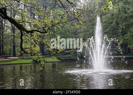 Keukenhof Gärten in SpringTulip Betten und andere Frühlingsblumen Niederlande PL001590 Stockfoto