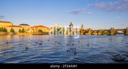 Geographie / Reisen, Tschechien, Böhmen, Mute Swans (Cygnus olor) auf der Moldau, Karlsbrücke mit Altstädter Brückenturm, links qua, Panorama-Freiheit Stockfoto