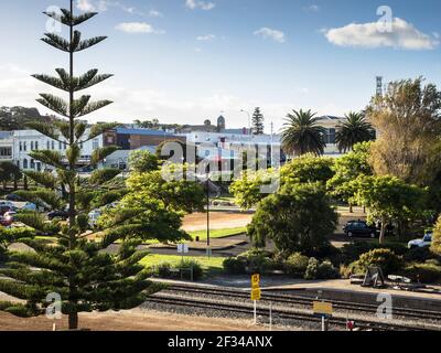 Ein Norfolk Island Pine Tree (Araucaria heterophylla) flankiert den Blick nach Norden, vorbei an Albanys Bahnhof zur Stirling Terrace. Stockfoto