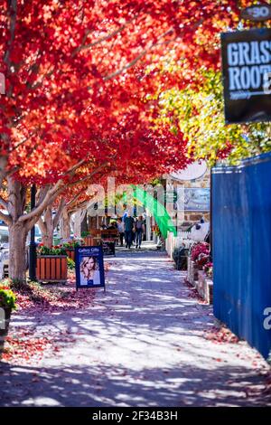 Adelaide, South Australia - 10. April 2019: Die schönen Farben der Bäume im Herbst in der Hauptstraße von Hahndorf, South Australia. Stockfoto