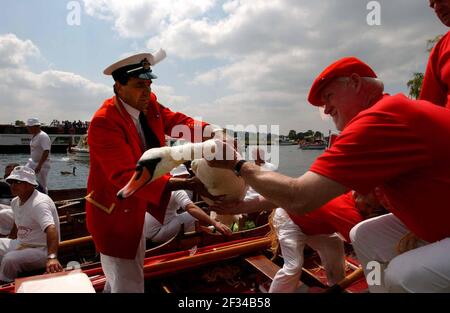 DER QUEENS SWAN MARKER DAVID BARBER WÄHREND SWAN UPPING AUF DER THEMSE ZWISCHEN MARLOW UND HENLEY. 17/7/02 PILSTON Stockfoto