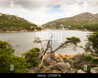 Felsbrocken und Küstenheide, Waychinicup Inlet, Albany, Western Australia Stockfoto