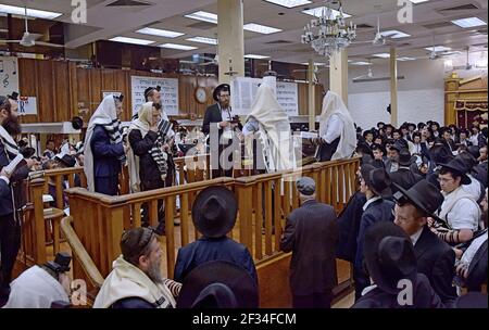 Nach einer Lesung wird eine Tora-Schriftrolle angehoben und einer überfüllten Gemeinde gezeigt. In der Hauptsynagoge Chabad in Brooklyn, New York. Stockfoto