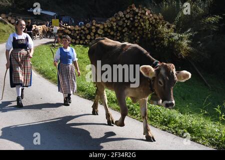 Kühe aus den Alpen, Entlebuchar Alpafahrt, Schweiz Stockfoto