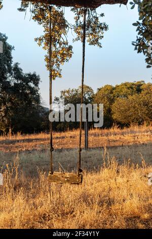 Schwingen Sie sich in einem Eichelbaum bei Sonnenuntergang in Südandalusien, Spanien Stockfoto