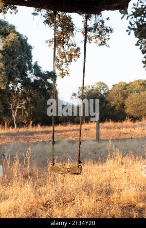 Schwingen Sie sich in einem Eichelbaum bei Sonnenuntergang in Südandalusien, Spanien Stockfoto