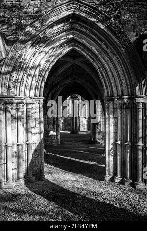 Margam Abbey Ruinen, Margam Country Park, das Kapitelhaus. Neath Port Talbot, Wales, Vereinigtes Königreich. Schwarzweiß-Foto. Stockfoto