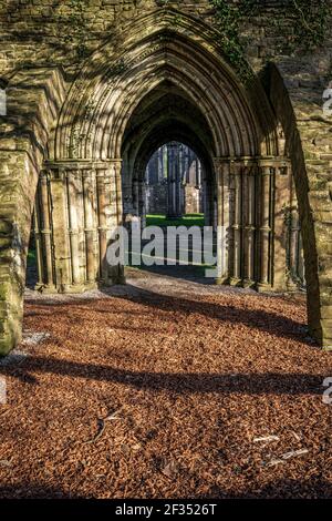 Margam Abbey Ruinen, Margam Country Park, das Kapitelhaus. Neath Port Talbot, Wales, Vereinigtes Königreich Stockfoto