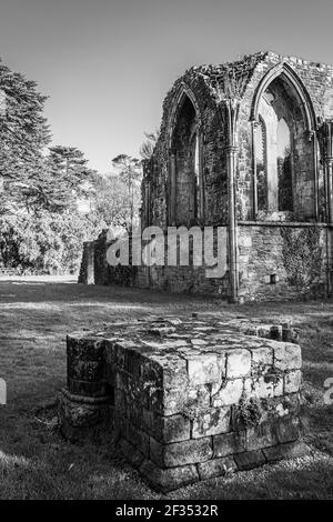 Margam Abbey Ruinen, Margam Country Park, das Kapitelhaus. Neath Port Talbot, Wales, Vereinigtes Königreich. Schwarzweiß-Foto. Stockfoto