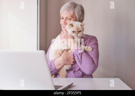 Heimbüro. Ältere Frau sitzt an ihrem Laptop und hält eine niedliche beige Katze in den Armen. Stockfoto