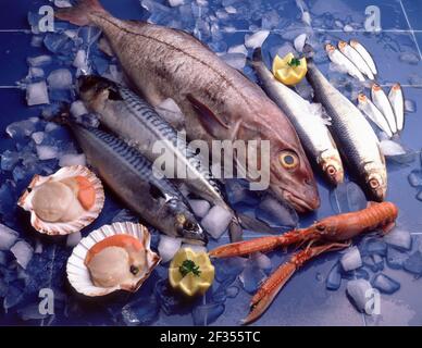 Auswahl von Fisch und Schalentiere nur Rechte für Großbritannien UND IRLAND, ANDERE RECHTE KONTAKT EWASTOCK.COM Stockfoto