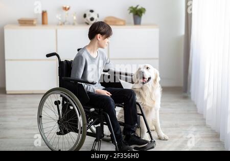 Beeinträchtigter Teenager im Rollstuhl streichelte seinen niedlichen goldenen Retriever zu Hause. Haustiertherapiekonzept Stockfoto