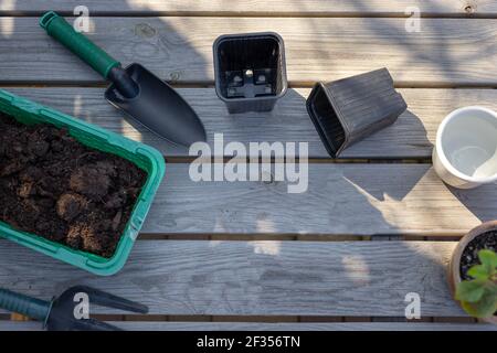 Set von Gartengeräten, Sämlinge Töpfe, Boden auf einem Holztisch. Vorbereitung für die Pflanzung von Blumensamen Tagetes. Gartenkonzept. Flach legen, Draufsicht Stockfoto