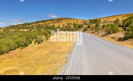 Sonniger Tag mit blauem Himmel über Straße in Hochlandlandschaft auf Mont Aigoual, Occitanie, Frankreich Stockfoto
