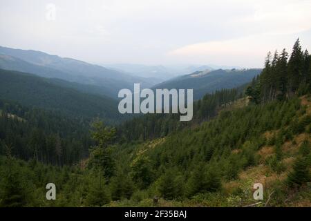 Rarau-Gebirge in den Karpaten Stockfoto