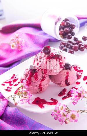 Hausgemachtes Eis mit schwarzen Johannisbeeren. Stockfoto
