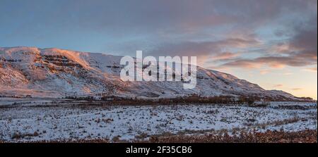 Ein frühes Morgenglühen auf den Winterhügeln, wenn die Sonne auf den Campsie Fells hinter Lennoxtown, Schottland, aufgeht Stockfoto