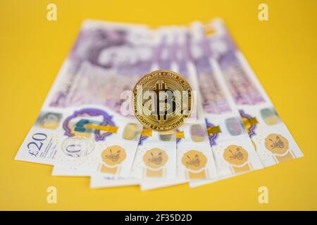 Goldbitcoin über britischen Pfund-Noten auf gelbem Hintergrund mit selektivem Fokus. Kryptowährungsbörse, Steuer, Regulierung im britischen Konzept Stockfoto