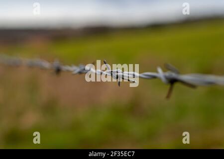 Nahaufnahme eines Stacheldrahtzauens. Stockfoto