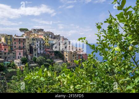 Italien, Ligurien: Das Dorf Corniglia im Nationalpark Cinque Terre, UNESCO Weltkulturerbe Stockfoto