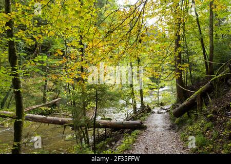 Eistobel Walk in Bayern Stockfoto