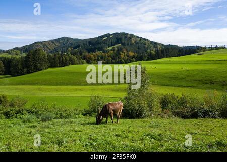 Eistobel Walk in Bayern Stockfoto