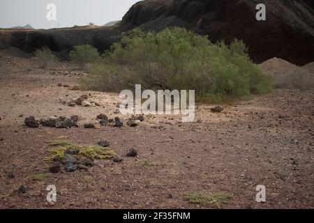 Das Tal des Fingers des gottes auf dem Insel teneriffa Stockfoto