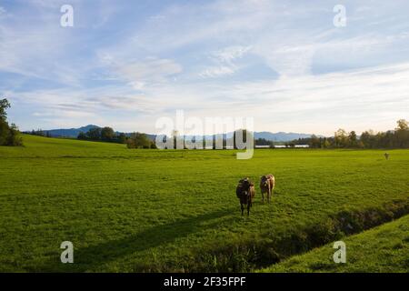 Eistobel Walk in Bayern Stockfoto