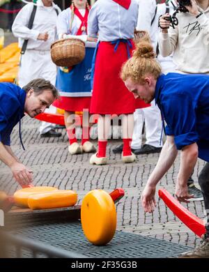 Kauf und Verkauf von Gouda Käsescheiben, auf dem Alkmaar Käsemarkt, Noord-Holland, Niederlande Stockfoto