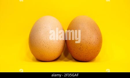Zwei identische Eier in verschiedenen Schalenfarben auf gelbem Hintergrund. Stockfoto