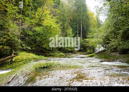 Eistobel Walk in Bayern Stockfoto