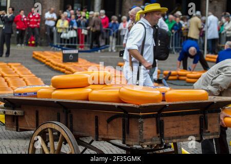 Kauf und Verkauf von Gouda Käsescheiben, auf dem Alkmaar Käsemarkt, Noord-Holland, Niederlande Stockfoto