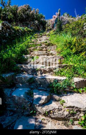Nahaufnahme von alten verwitterten Steintreppen in der Natur, umgeben von grüner Vegetation. Sonniger Tag mit klarem Himmel. Stockfoto