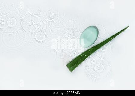 Seife und Aloe Vera Blatt auf weißem Wasser Hintergrund mit Tropfen, Draufsicht, Copy Space. Feuchtigkeitsspendende Aloe Hautpflegeprodukte und Spa-Konzept. Stockfoto