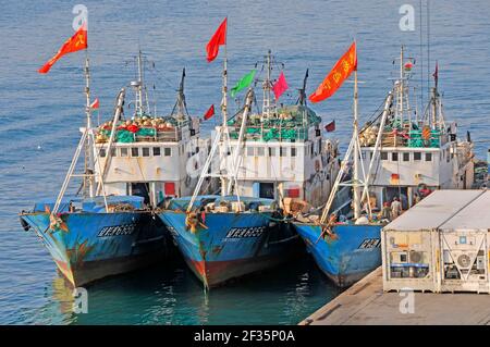 Die Seeleute bei der Arbeit auf der kleinen Flotte drei neben identisch Fischerboote am Hafen von Port Sultan Qaboos mit Kühlhaus Container bei Muttrah Muscat Oman Stockfoto