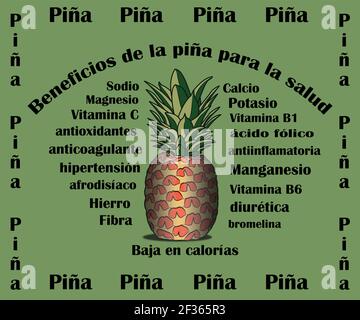 Beneficios de la piña para la salud. Vorteile der Ananas für die Gesundheit. Vektordesign Stock Vektor