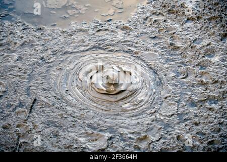 Nahaufnahme eines sprudelnden Schlammpools im aktiven geothermischen Gebiet Waiotapu, Rotorua, Neuseeland Stockfoto