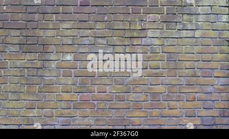 Einfache verwitterte Ziegelwand, die den kompletten Rahmen mit Platz für Kopien füllt Stockfoto