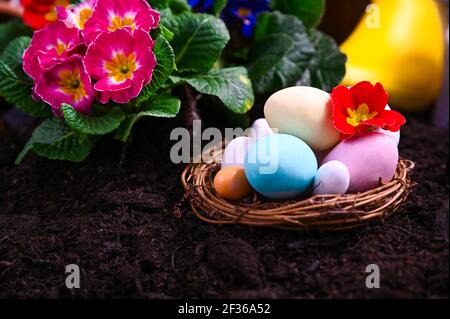 Ostern bunte Eier im Garten. Gartengeräte und Blumen auf der Gartenterrasse. Primrose in verschiedenen hellen Farben im Boden. Gartenkonzept . Speicherplatz kopieren Stockfoto