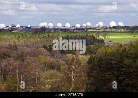 Radome am RAF Menwith Hill. In der Nähe von Harrogate, North Yorkshire, Großbritannien – die Website bietet Kommunikations- und Geheimdienstdienste für Großbritannien und die USA. Stockfoto