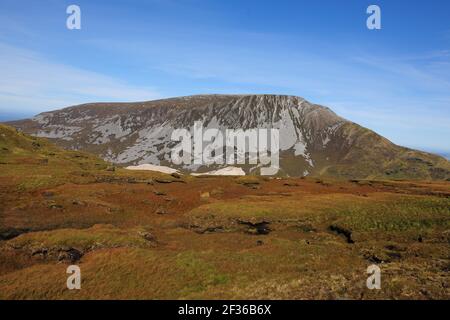 Torfhirsche und Slieve Muck, Derryveagh Mountains, County Donegal GPS: Breitengrad: N 55 5,209' (55 5'12,6') GPS: Längengrad: W 8 1,074' (8 1'4,4') Datum Stockfoto