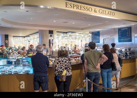 Washington DC, National Gallery of Art Museum, innen Espresso & Gelato Bar Counter Kunden Schlange stehen, Stockfoto