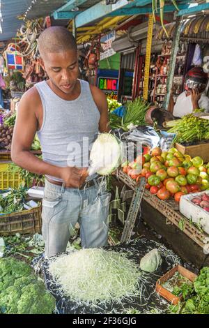 Santo Domingo Dominikanische Republik, Ciudad Colonia Zona Colonial, Mercado Modelo Markt Hispanic Black man Anbieter produzieren Stand, Zerkleinerung Kohl, Stockfoto