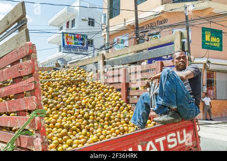 Santo Domingo Dominikanische Republik, Bajos de Haina, schwarzer hispanischer Straßenverkäufer, der Orangen vom Pickup-Truck verkauft, Stockfoto