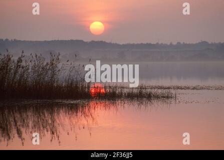 Tallinn Estland See Harku Sonnenuntergang natürliche Landschaft, Stockfoto