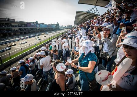Grille de depart Startaufstellung Start ABB Ambiance Tribüne Tribüne während der Formel E Meisterschaft 2019, von fevrier 14 bis 16, 2019 in Mexiko, Mexique - Photo Germain Hazard / DPPI Stockfoto