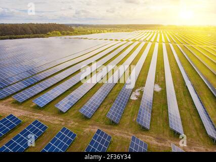 Solarkraftwerk im Feld. Luftaufnahme von Sonnenkollektoren. Solarpark. Die Quelle ökologischer erneuerbarer Energien. Stockfoto