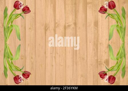 Rote Tulpen auf einer Kulisse aus goldenen Holzplanken, als fröhliche oder romantische Hintergrund Stockfoto
