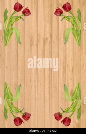 Rote Tulpen auf einer Kulisse aus goldenen Holzplanken, als fröhliche oder romantische Hintergrund Stockfoto